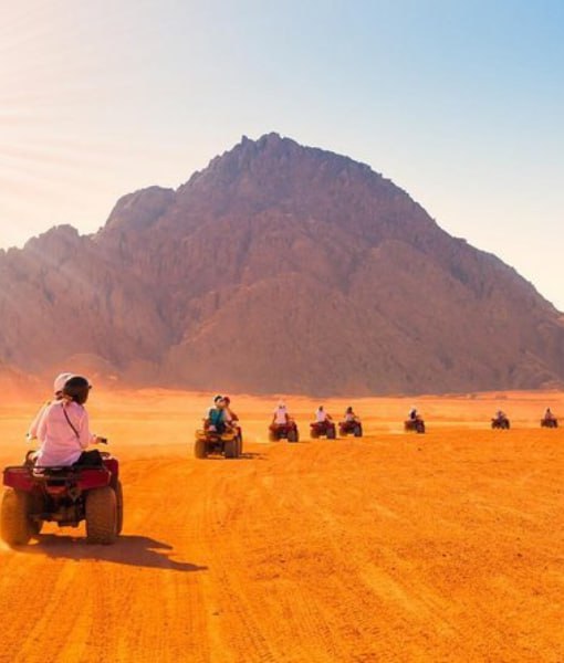 Safari-Touren